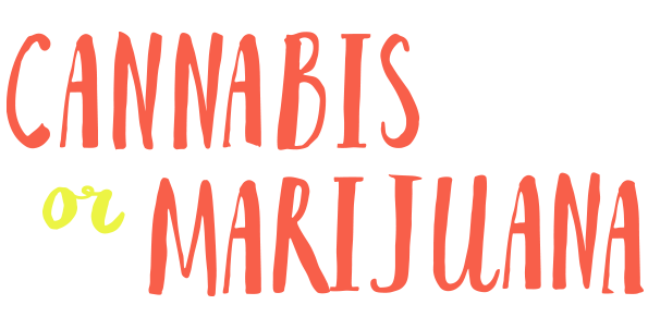 Cannabis or Marijuana