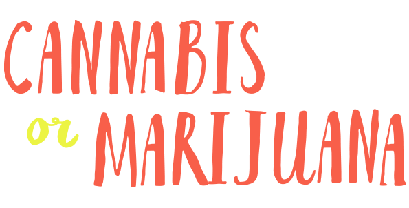 Cannabis or Marijuana