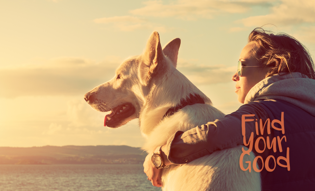 Picture of a person and their dog looking at a river and sunset. 
